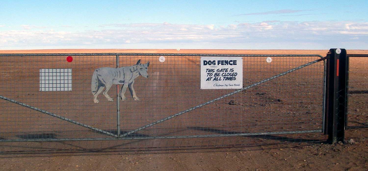 The Dog fence